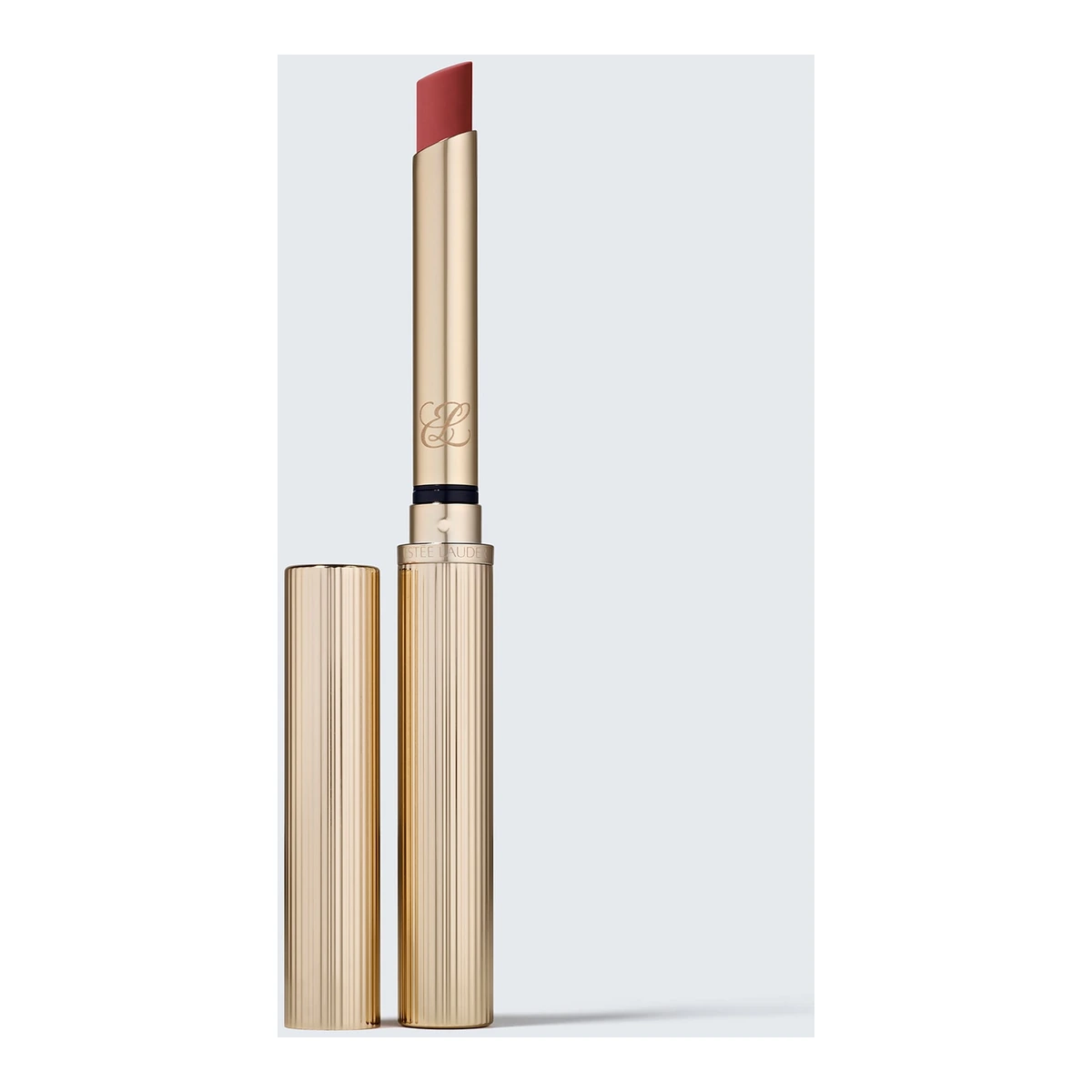 Pure Color Explicit Silk Matte Lipstick