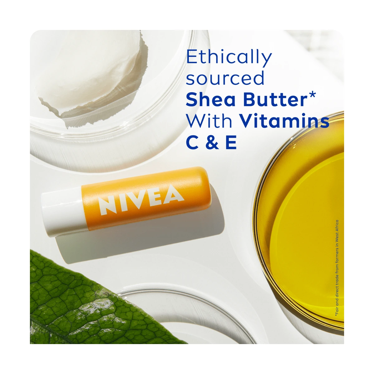 Sun Protect Lip Balm SPF50