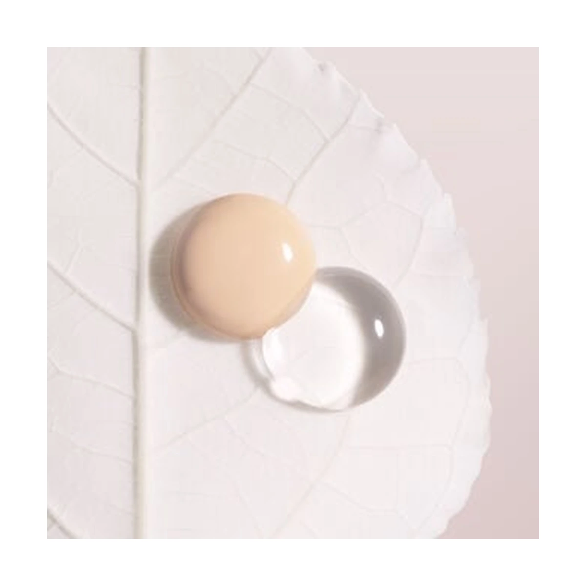 Phyto-Blanc Cushion Foundation