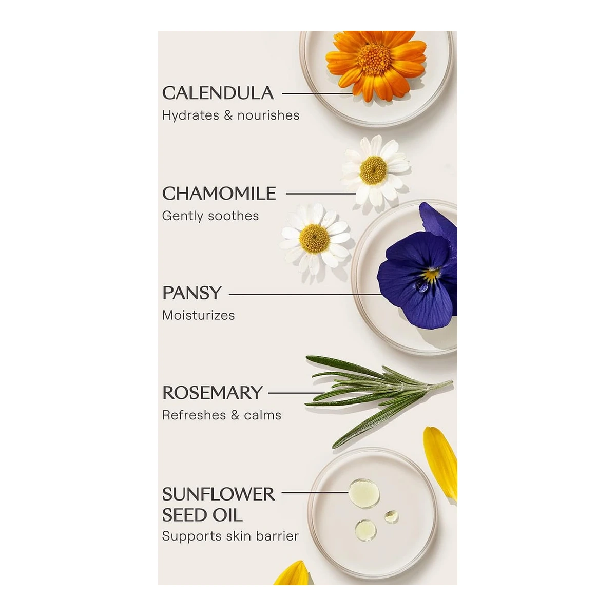 Skin Food Brightening Serum Stick