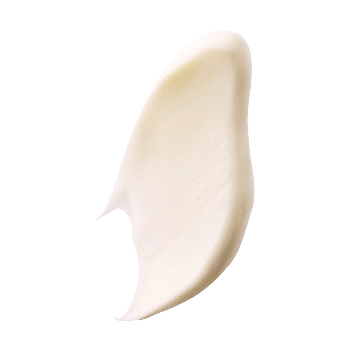 Age Perfect Skin Care Cell Renewal Anti-Aging Day Moisturizer With SPF 25 For Maturing Skin